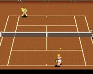 une photo d'Ã©cran de Super Tennis sur Nintendo Super Nes